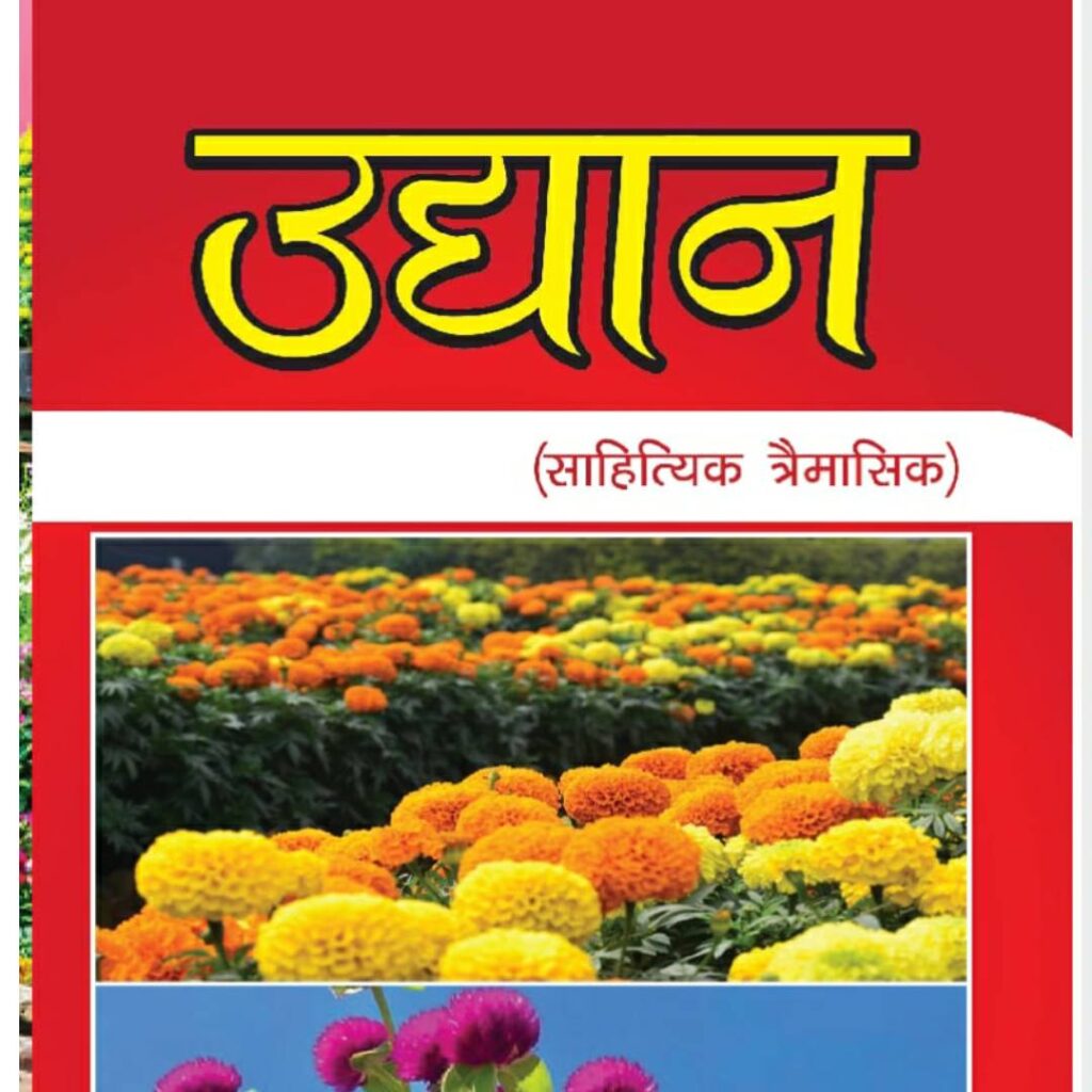 Sapanako Mahal By Anish Shrestha - Udhan