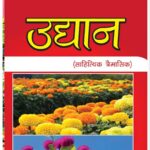 Sapanako Mahal By Anish Shrestha - Udhan